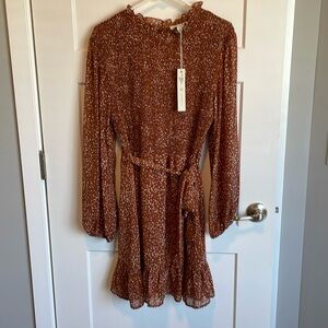 NWT She + Sky dress long sleeved with lined skirt, coffee brown color